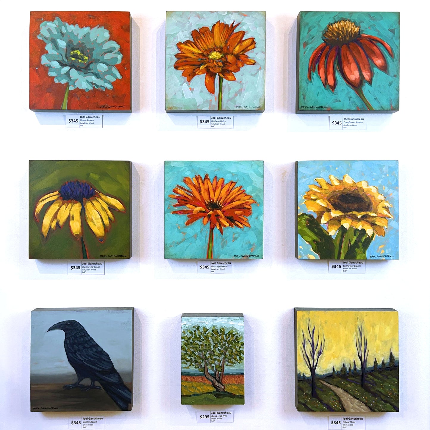 Black-Eyed Susan - 8x8"