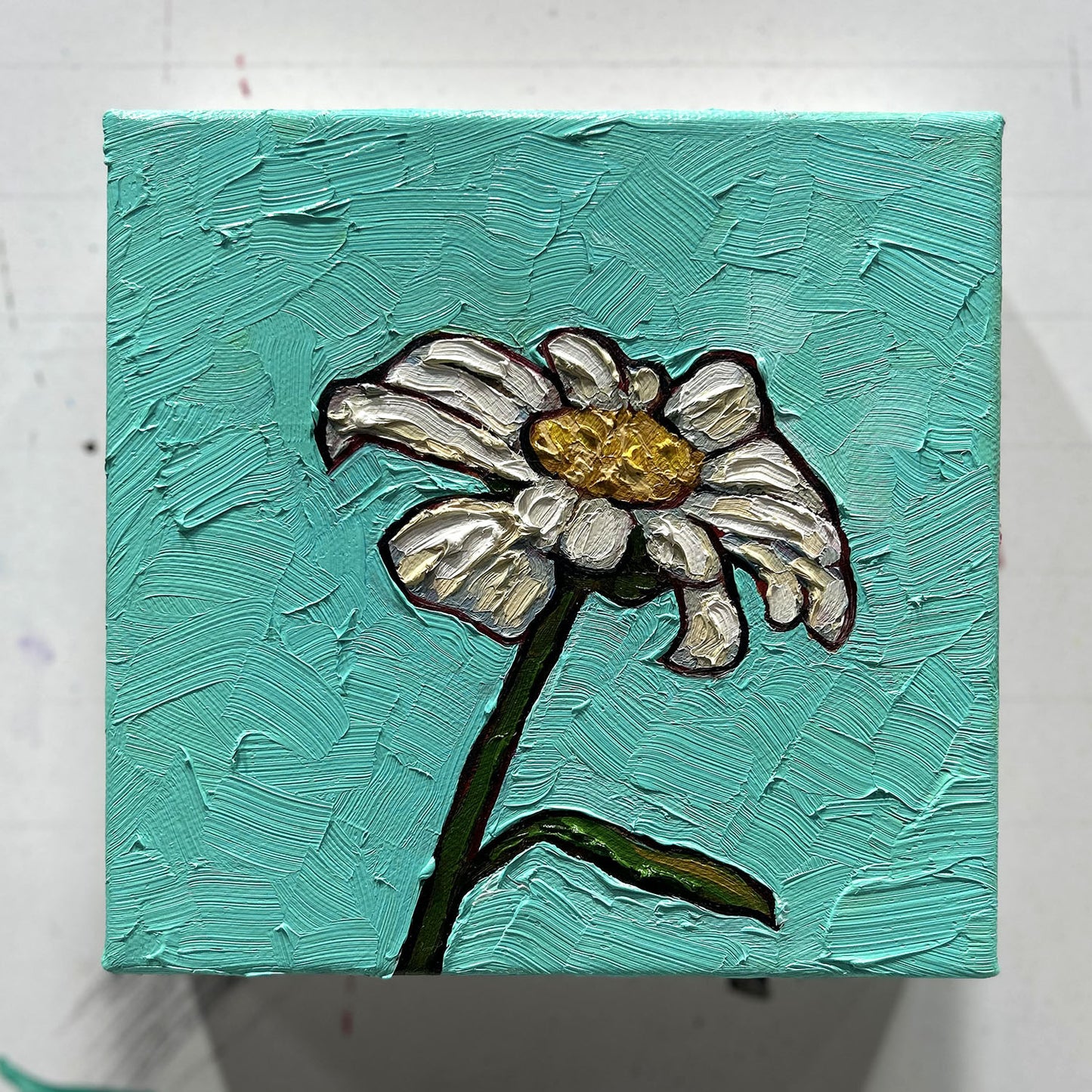 Little Shasta Daisy - 6x6"