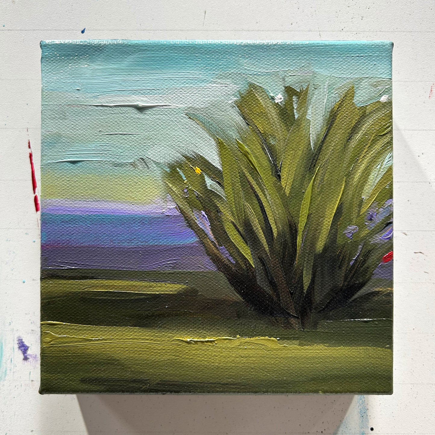 Little Shrub - 6x6"