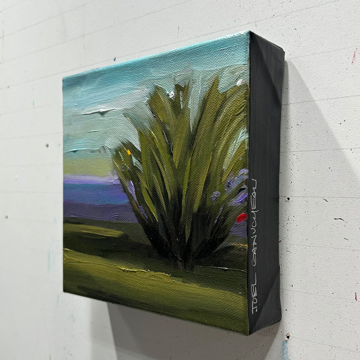 Little Shrub - 6x6"