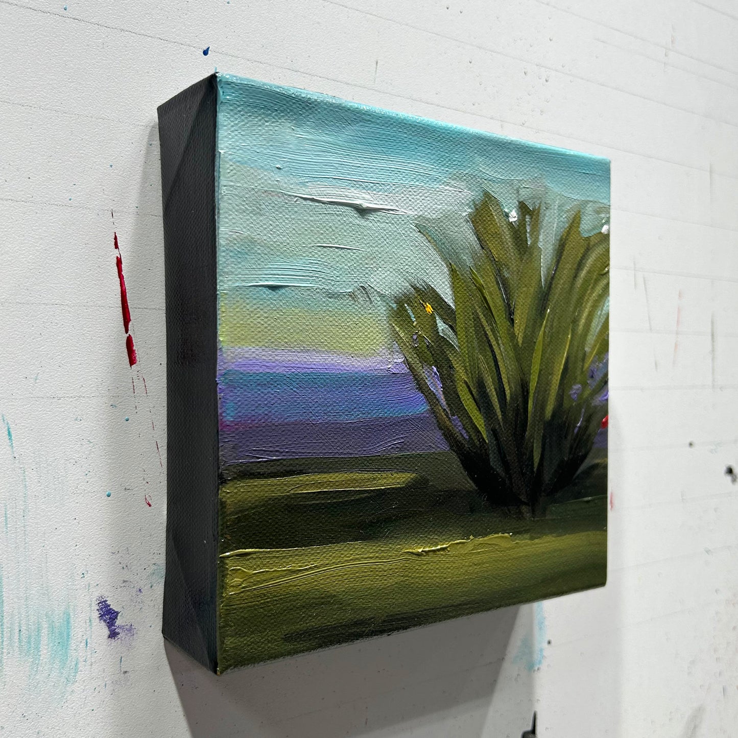 Little Shrub - 6x6"