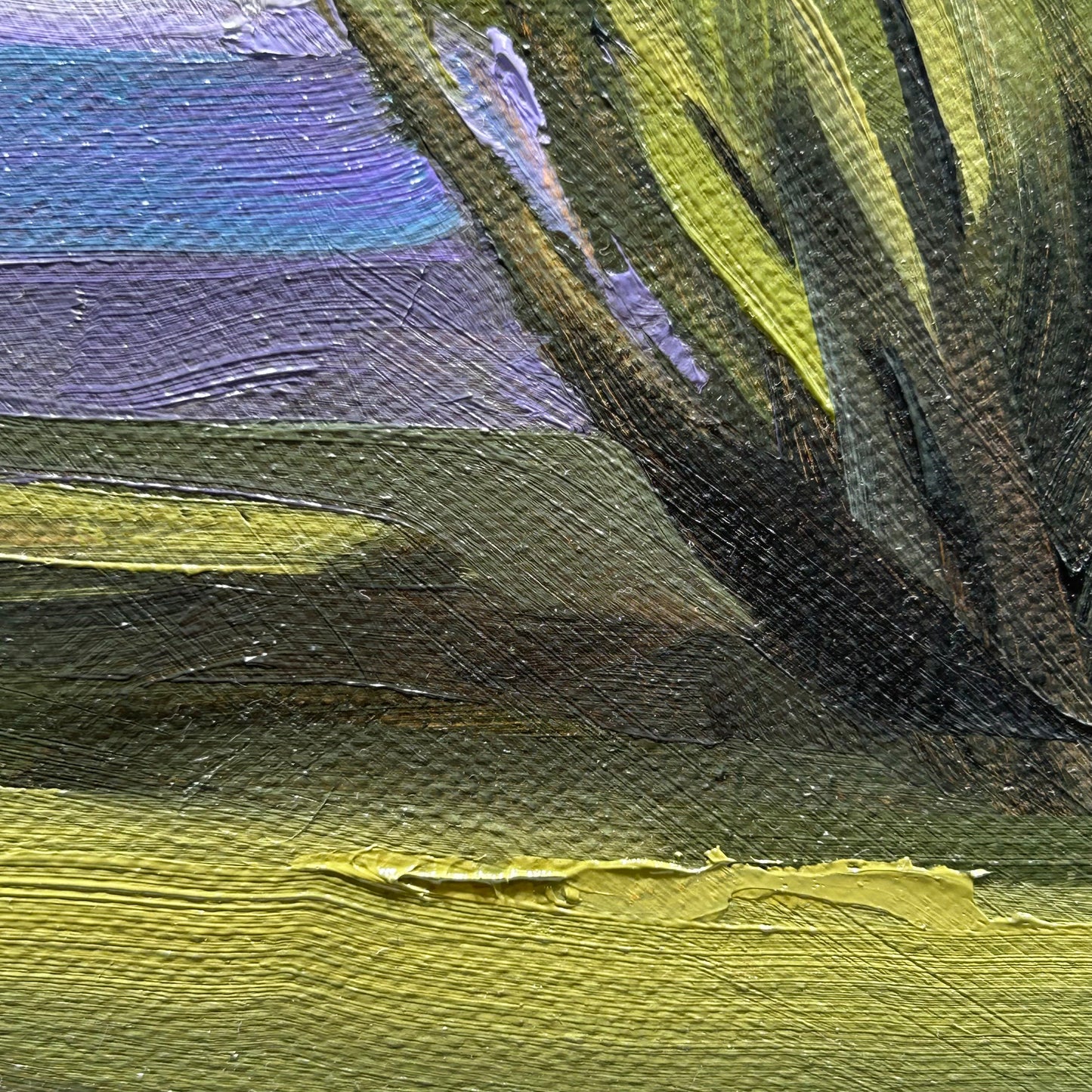 Little Shrub - 6x6"
