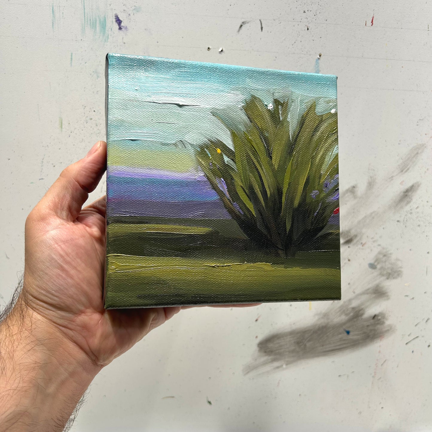Little Shrub - 6x6"