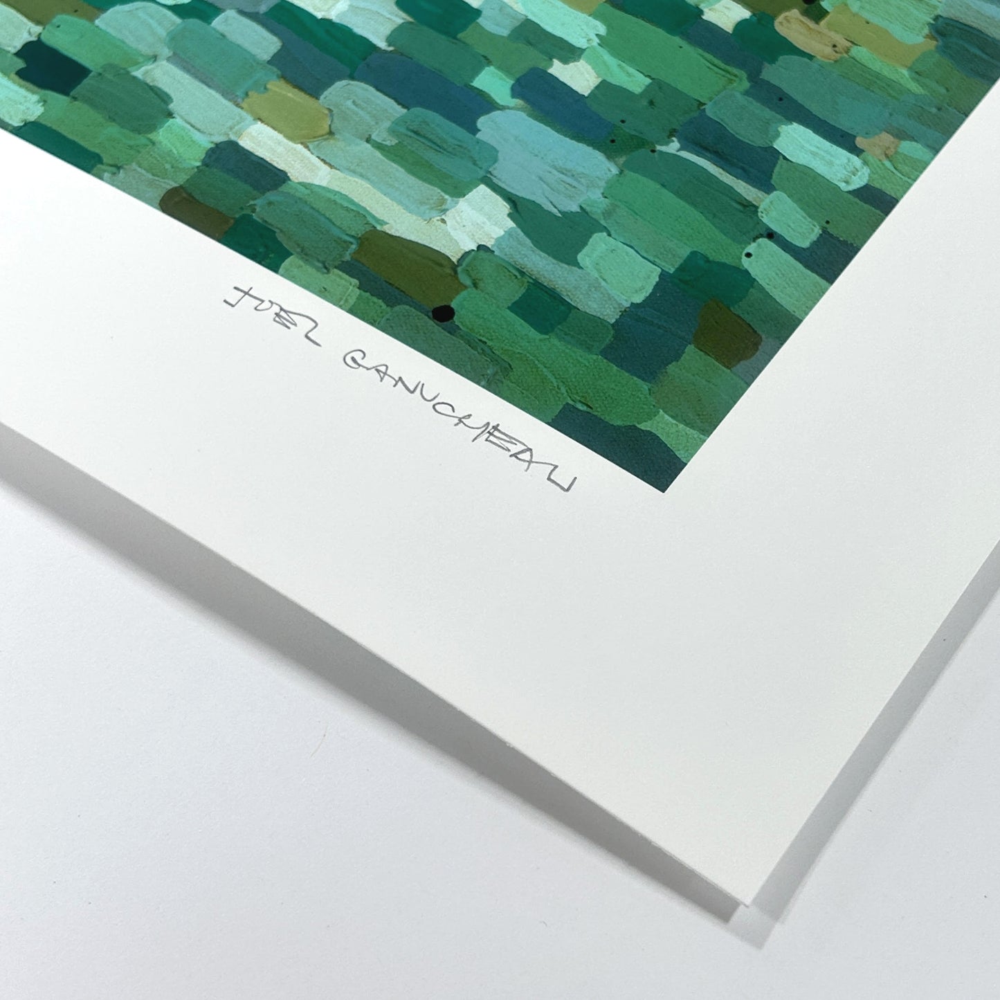 Barton Springs - Signed Paper Print