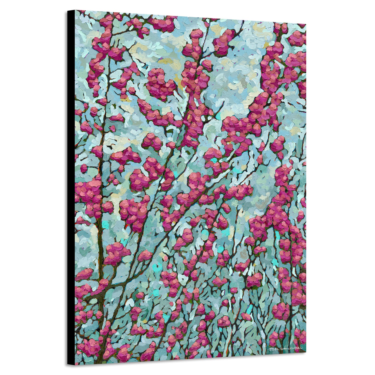 Blooming Redbud - Canvas Print
