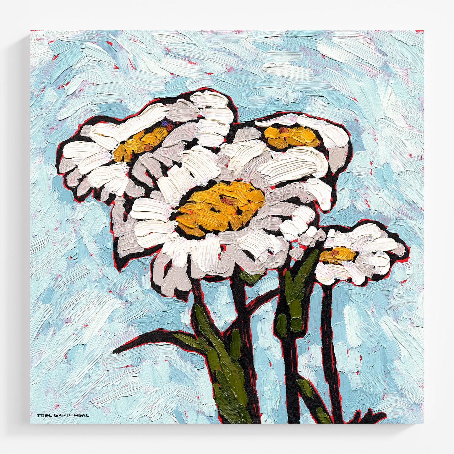 Daisy Sunday - Canvas Print