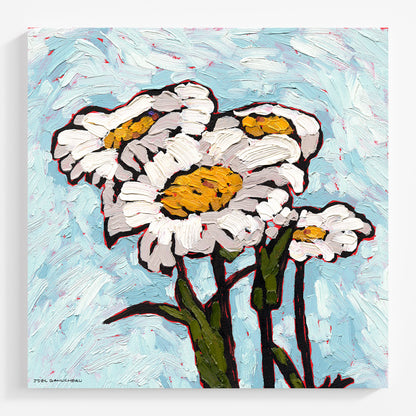 Daisy Sunday - Canvas Print