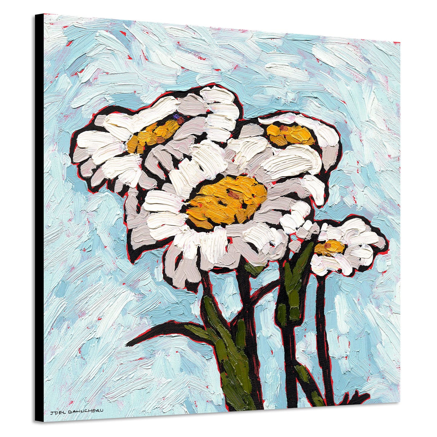Daisy Sunday - Canvas Print