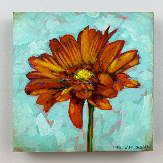 Gerbera Daisy - 8x8"