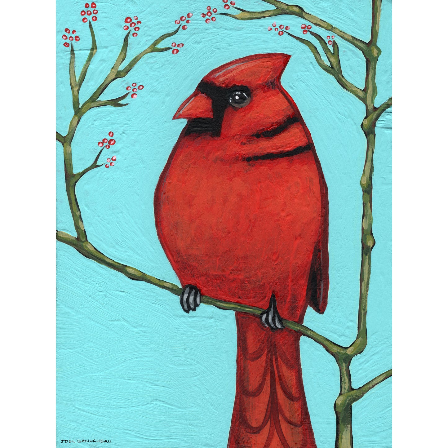 Little Cardinal - Canvas Print