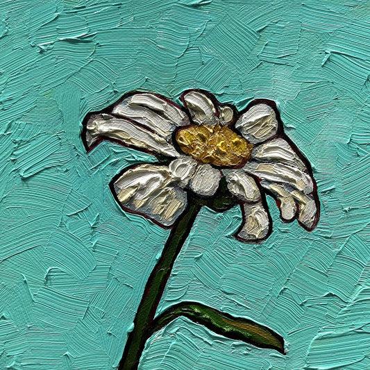Little Shasta Daisy - 6x6"