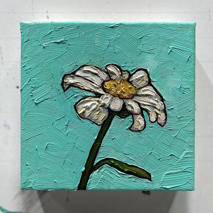 Little Shasta Daisy - 6x6"