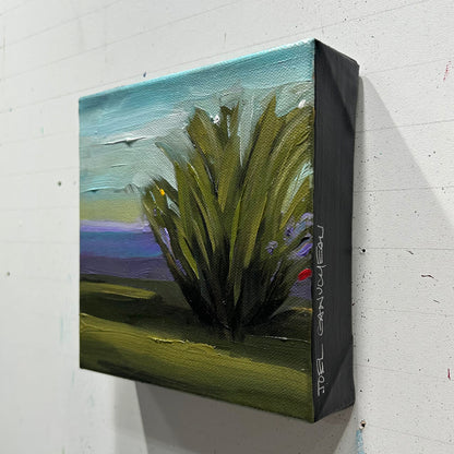 Little Shrub - 6x6"