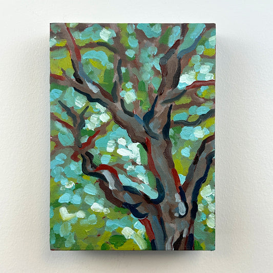 Little Emerald Forest - 5x7"