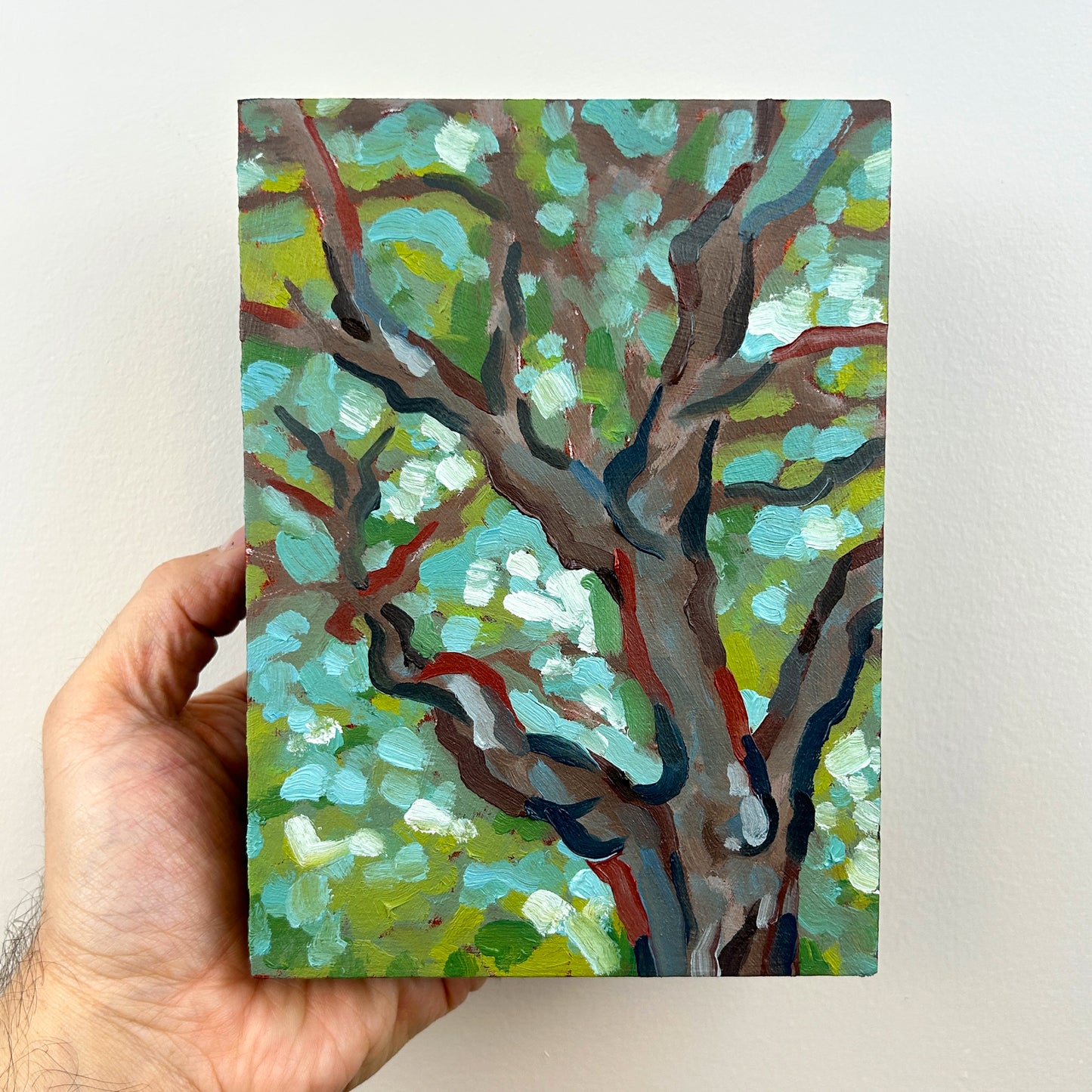 Little Emerald Forest - 5x7"