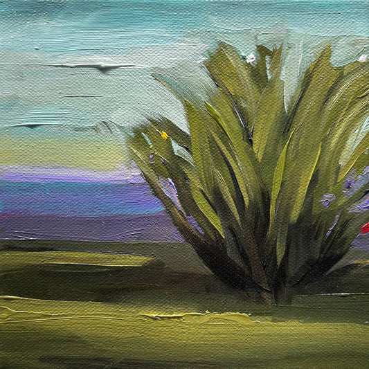 Little Shrub - 6x6"