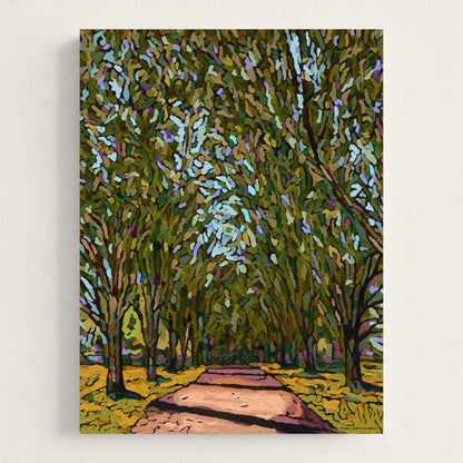 Tree Lined Drive - Canvas Print