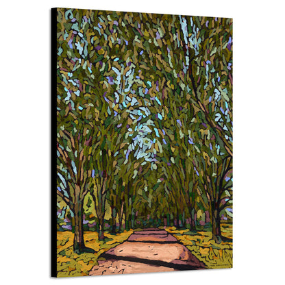 Tree Lined Drive - Canvas Print